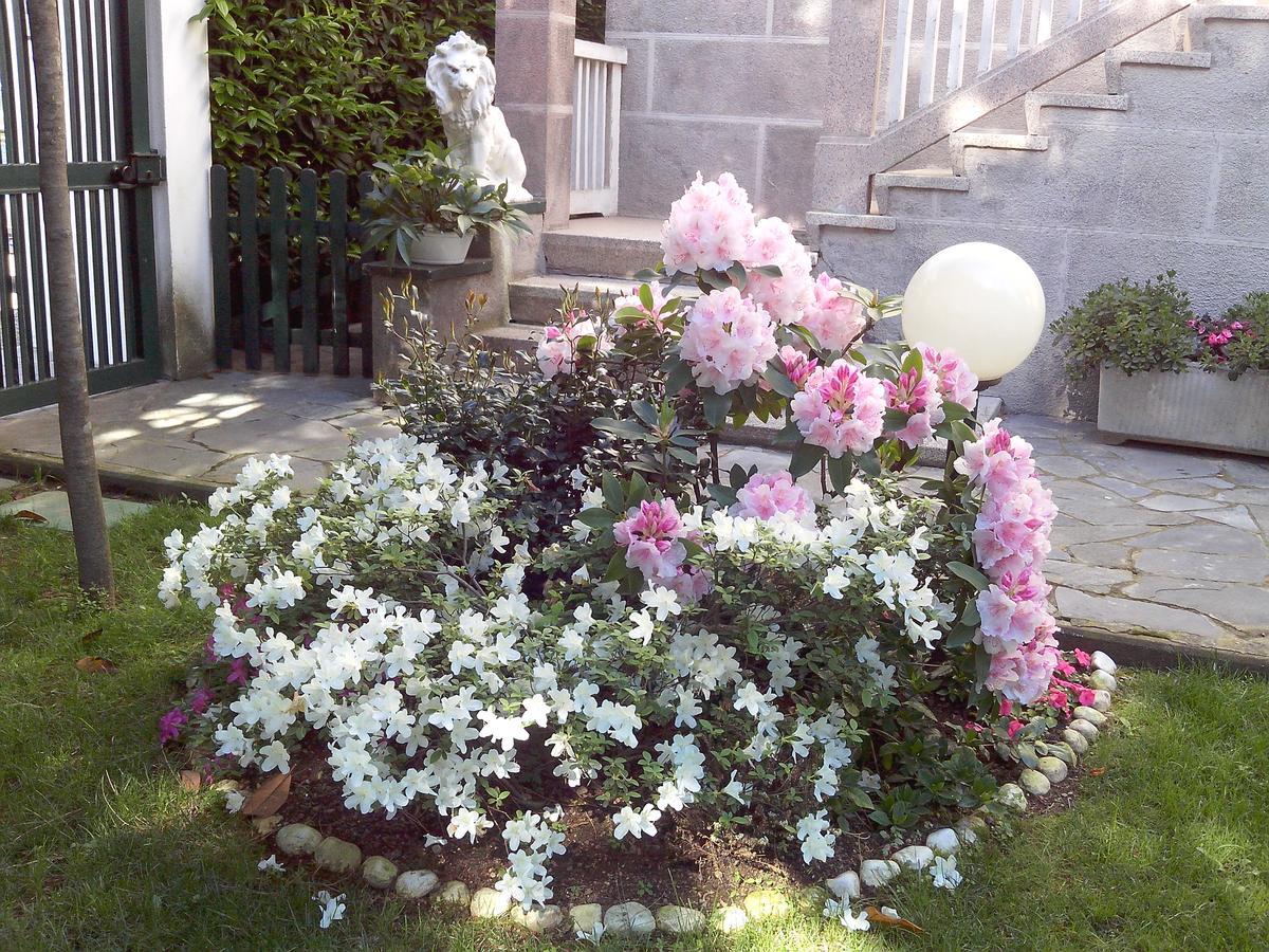B&B Le Magnolie Gallarate Zewnętrze zdjęcie